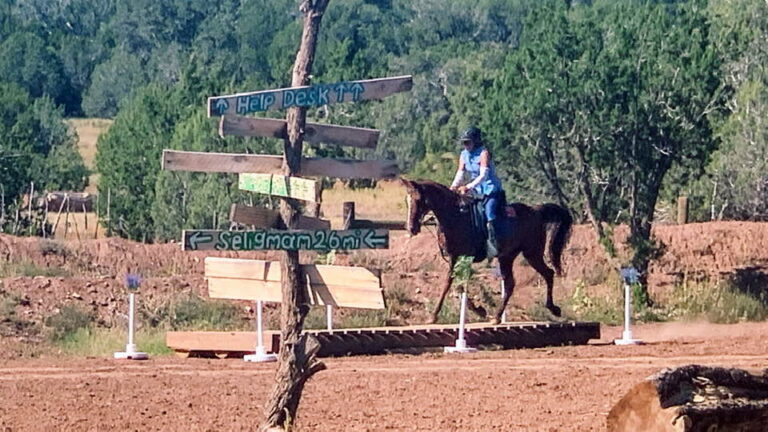 Sunset Ranch – Performance Horses and Training
