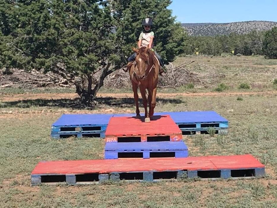 Sunset Ranch – Performance Horses and Training
